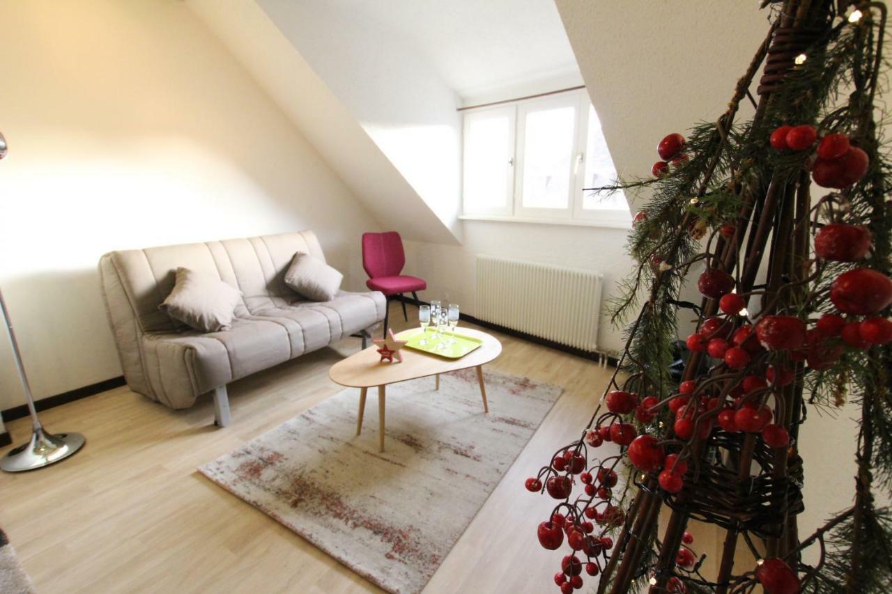 Colmar Historic Center - Cosy Appartement Turenne 2 - Bookingalsace Εξωτερικό φωτογραφία